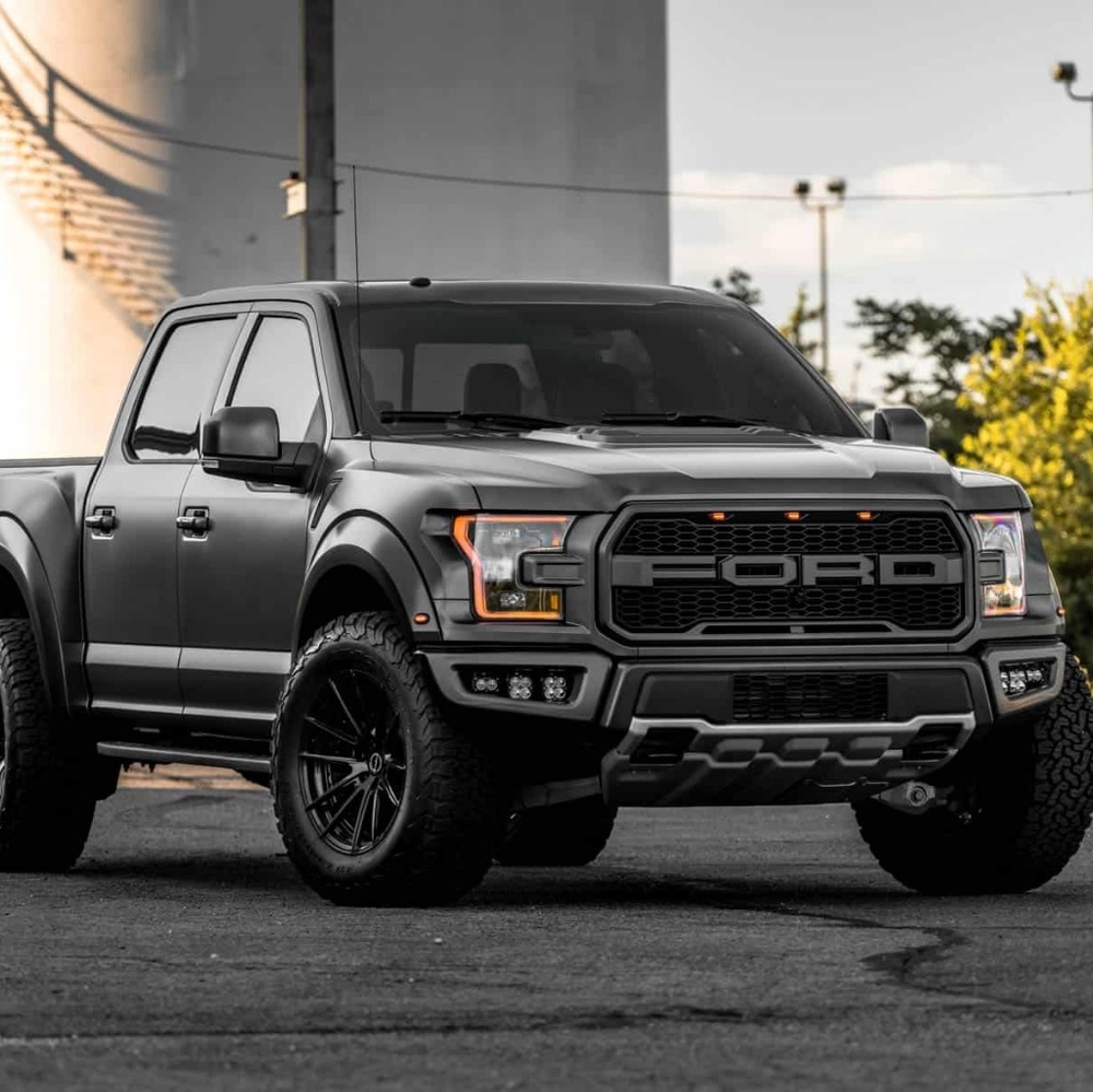 Meet your Posher, Dani